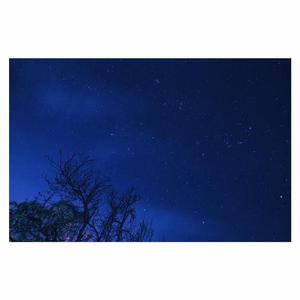 精品国产福利片在线观看
