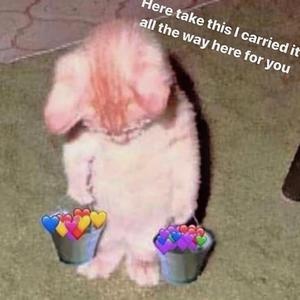 精品国产福利片在线观看
