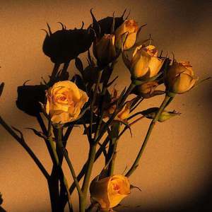 精品国产福利片在线观看
